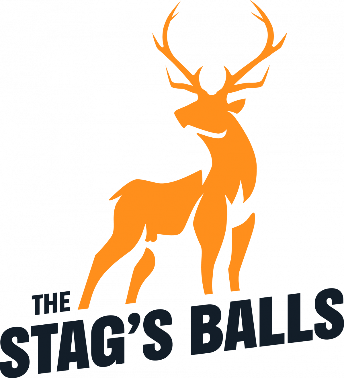 the-ultimate-list-of-stag-do-rules-and-forfeits-the-stag-s-balls