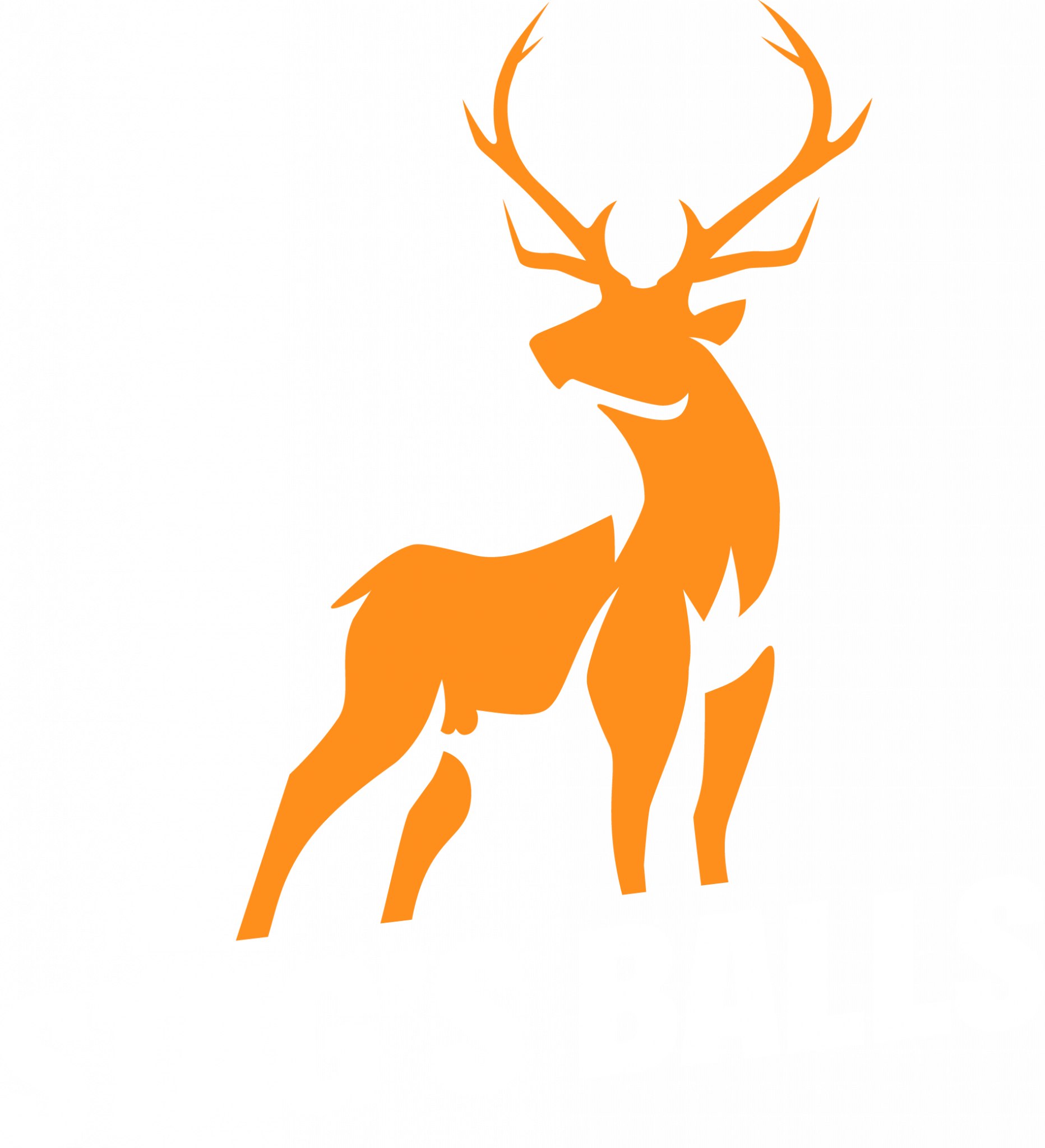 quick-short-best-man-speech-template-the-stag-s-balls